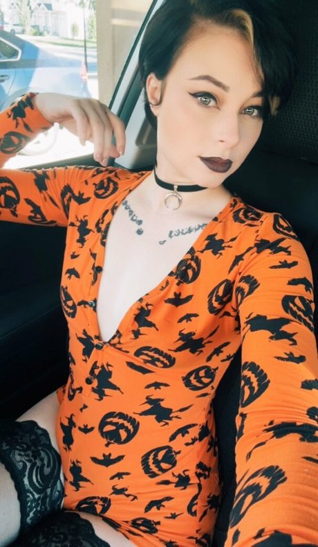 Harliantihero free star galleries