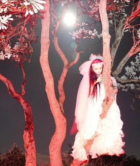 Zheani Sparkes beautiful star img