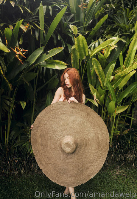 Blizzard top model image