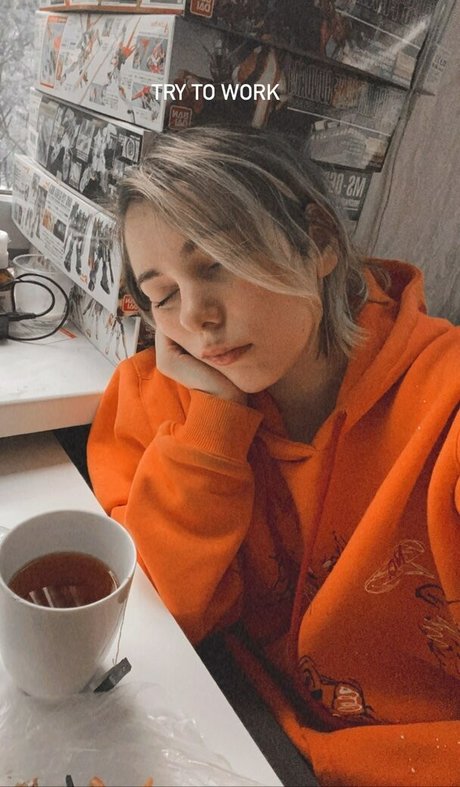 Kittew star nice images