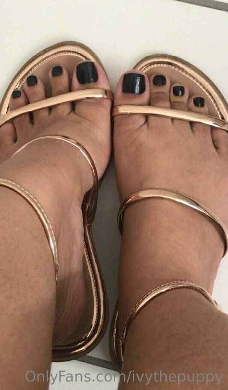 ivythepuppy hd star image