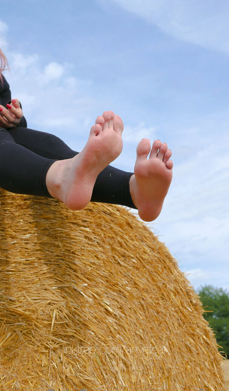 muscle girls onlyfans xxx archive