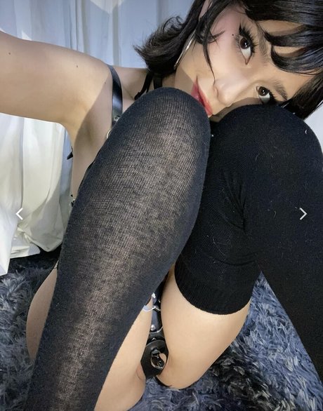 Daisyrot nice star gallery