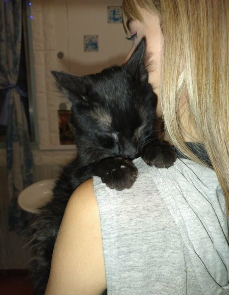 kayciebrowning beautiful model image