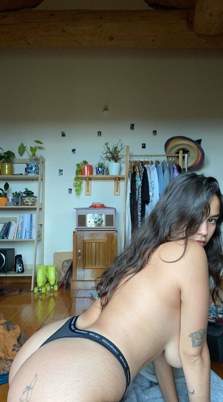 Sugar plump princess art star image