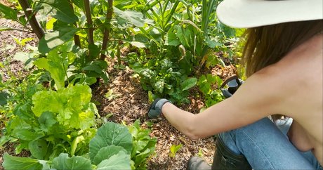 The Naked Gardener pretty pornstar gallery