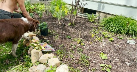 The Naked Gardener pornstar perfect gallery