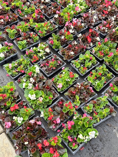 big tits nerd onlyfans beautiful images