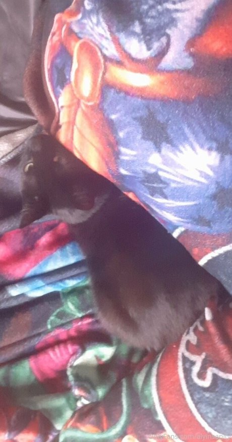 latina solo onlyfans beautiful naked pictures