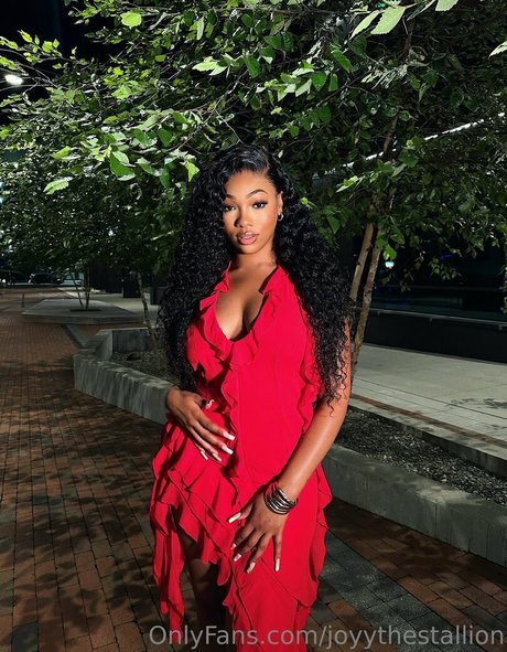 joyythestallion model top picture