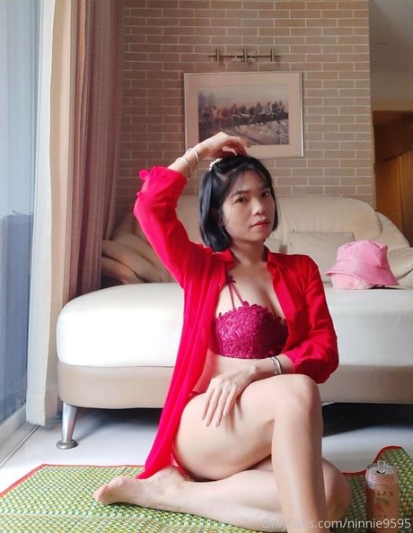 ninnie9595 model top archive