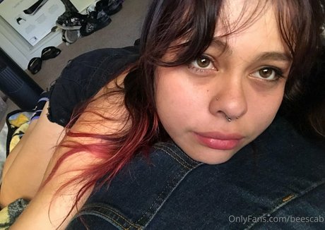 scabbee star nice archive