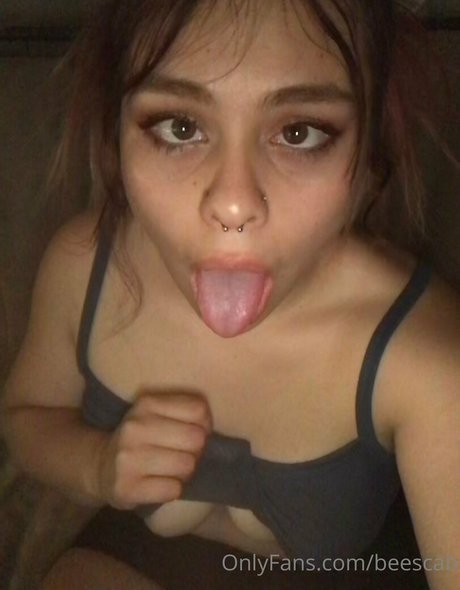 scabbee art star pictures