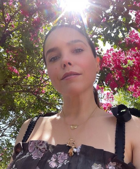 Sophia Bush pornstar nudes images