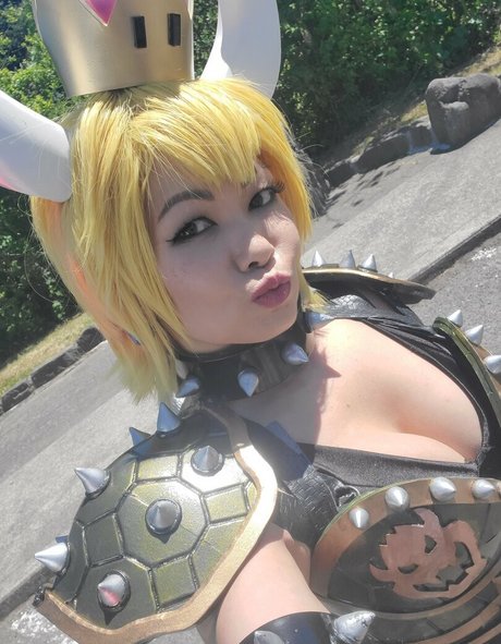 vivsai hd star gallery