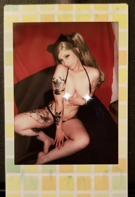 andromedanekoclub pornstar adult galleries