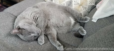 fat redhead onlyfans hot sexy pictures