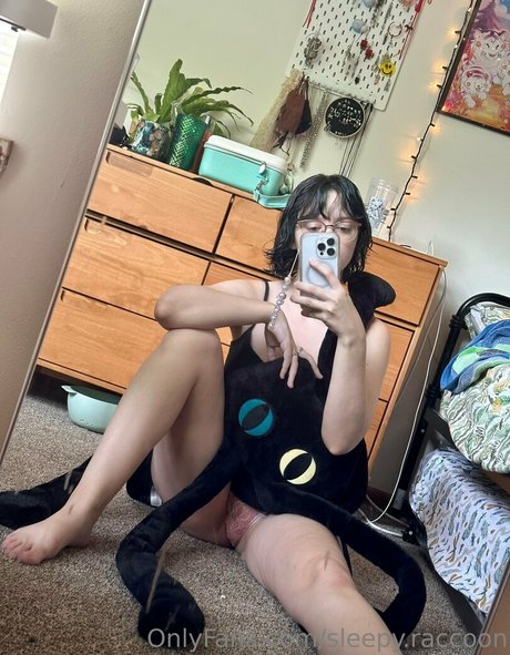 sleepy raccoon star top photos