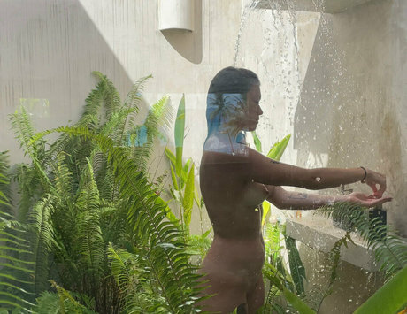 lanuitdestemps pretty star images