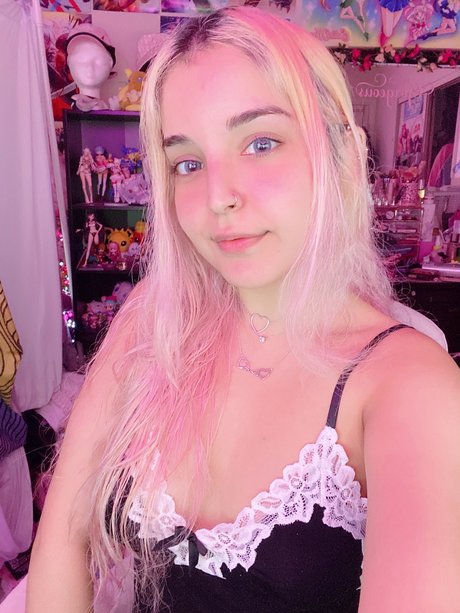 Kutie Kitten Quick photo