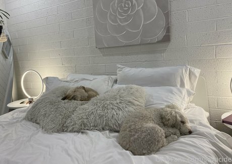 Soyacide perfect model image