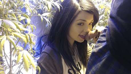 Soyacide erotic pornstar images