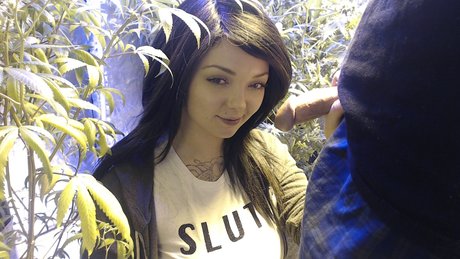 Soyacide star hd pics