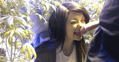 Soyacide model hd pics