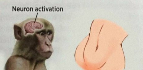 big tits and ass onlyfans free sexy images