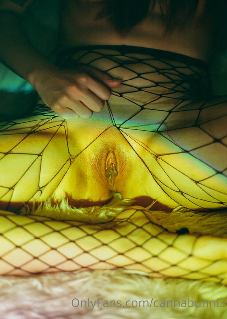 cannabunni3 nice pornstar picture