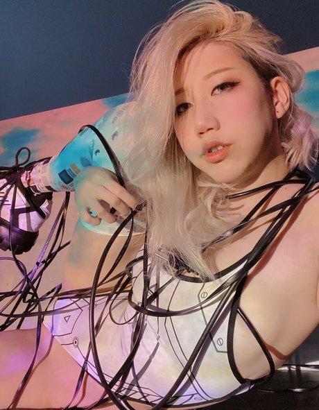 Danisaurz star best images