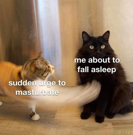 Eden Cohen hot pornstar photo