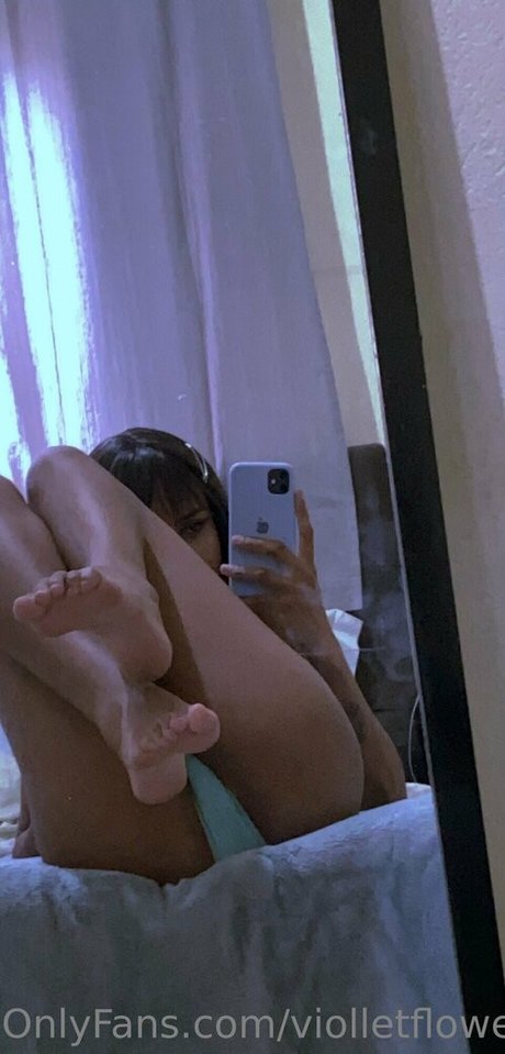 Viollet Collins star adult archive