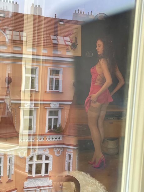 pawg ebony onlyfans hot xxx img