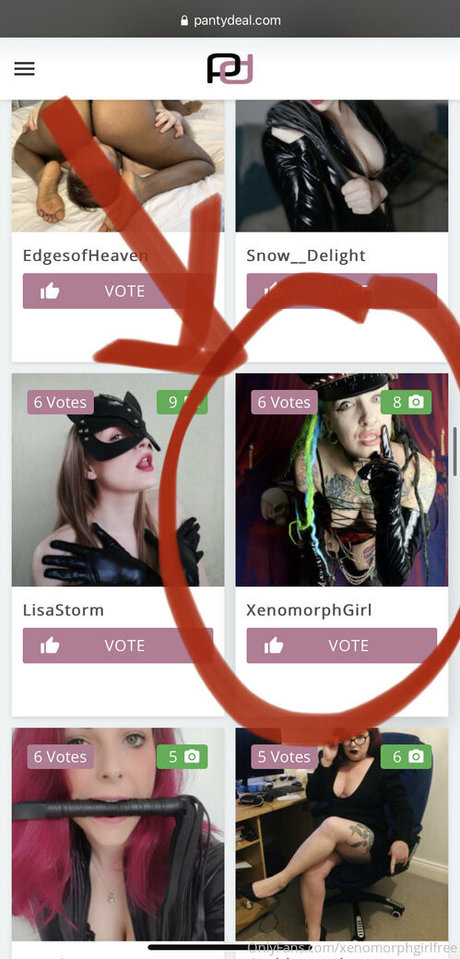 elfspitfree star top picture