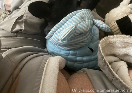 Tamarasuethorne pornstar beautiful photos