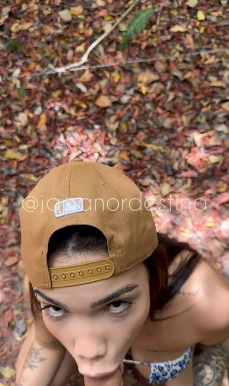 Japa Alee free model galleries