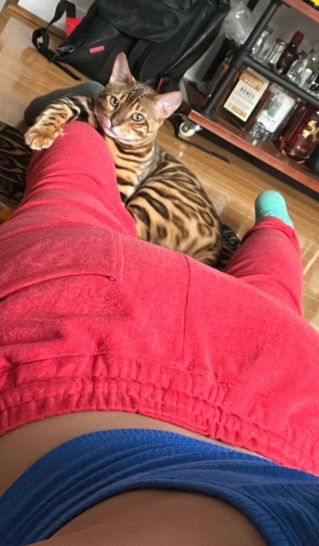 Bayley hd model pictures