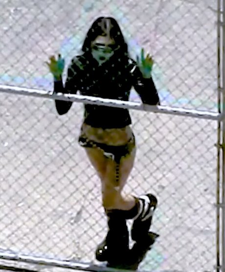 curvy kitty onlyfans pornographic img