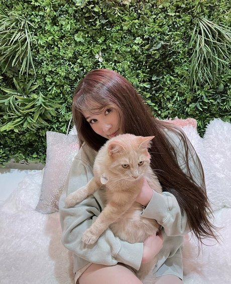 dmv onlyfans beautiful nude galleries