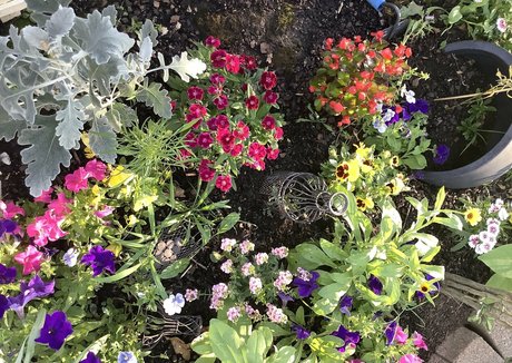 missleanalee erotic actress gallery