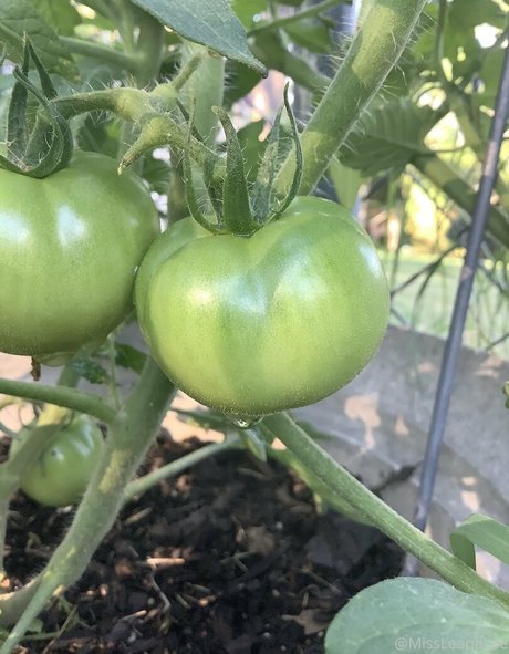 missleanalee top actress pics