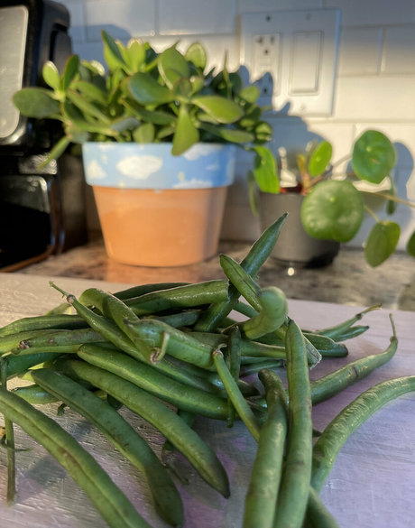 allyfromthesouth free model pictures