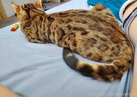 secretlumi model sexy images