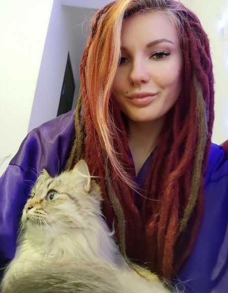 lida bond star nice image