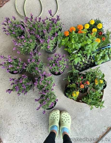 NakedBakers exclusive pornstar image