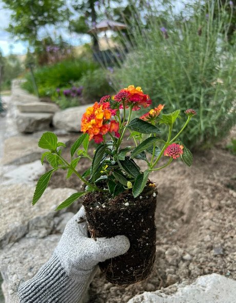 NakedBakers hd actress img