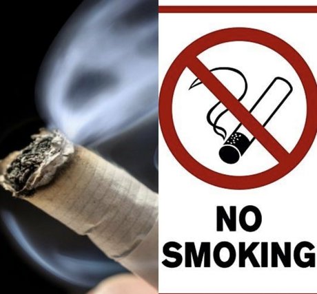 freeswissladyschweiz free star galleries