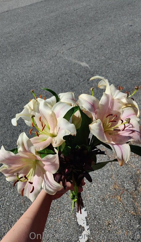 kiyomiii 0 pornstar naked img