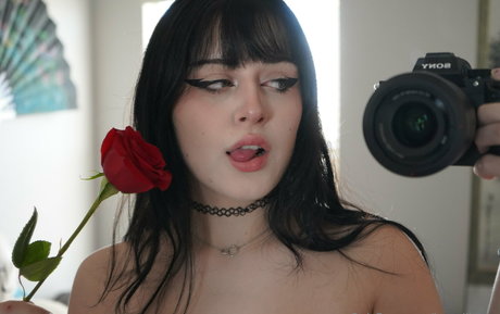 kiyomiii 0 hd star pictures